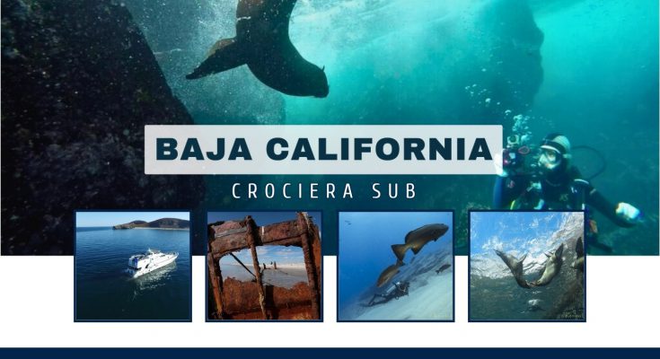 crociera sub Baja California
