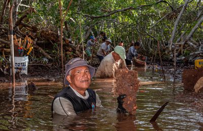 recupero mangrovie aqualung