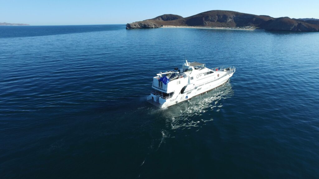 crociera in baja california