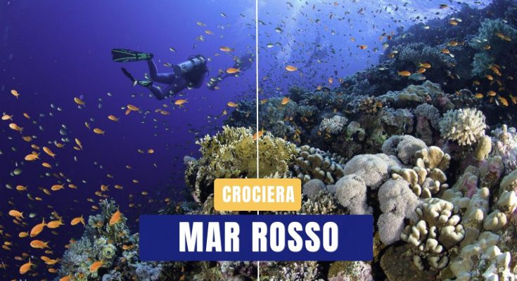 crociera sub daedalus mar rosso