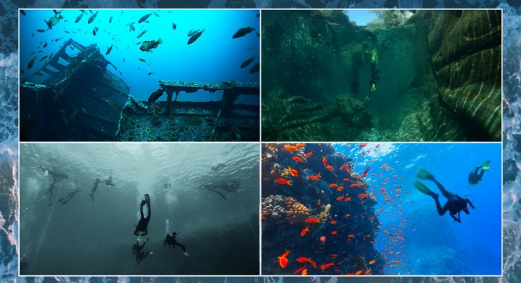 collage documentari subacquea