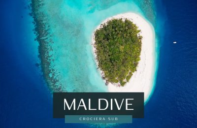 hanifaru maldive subacquea atollo