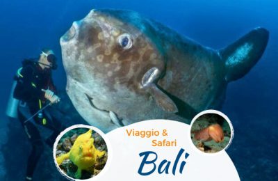 Viaggio subacqueo a Bali indonesia