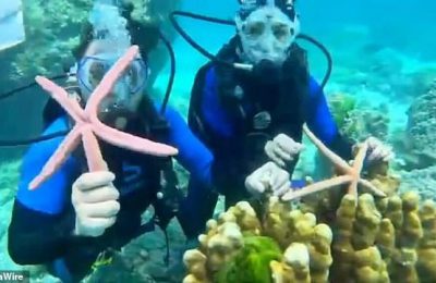 sub turisti cinesi selfie stella marina