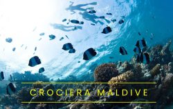 Crociera Maldive nosytour