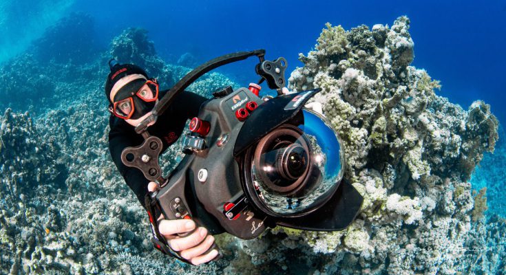 Il ghiaccio finto: uno strumento utile per scattare tranquillamente le  foto.