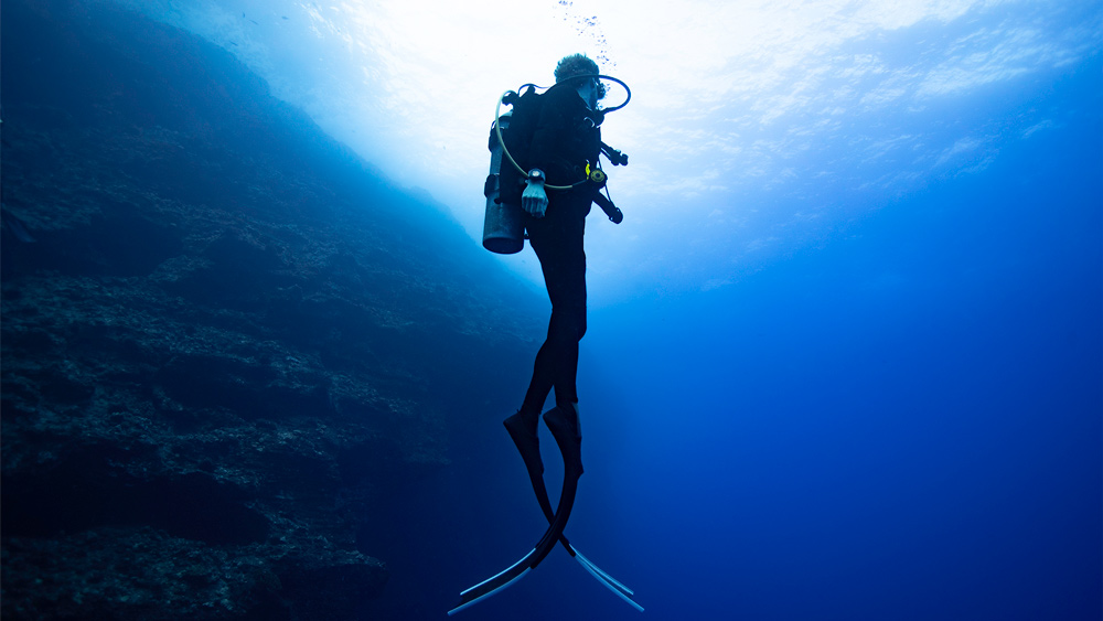 Garmin-dive-computer durante tuffo sub