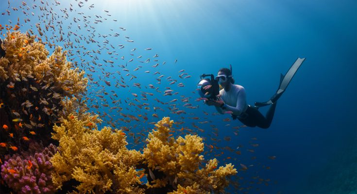 fotografia subacquea barriera corallina