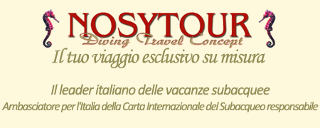logo nosytour tour operator