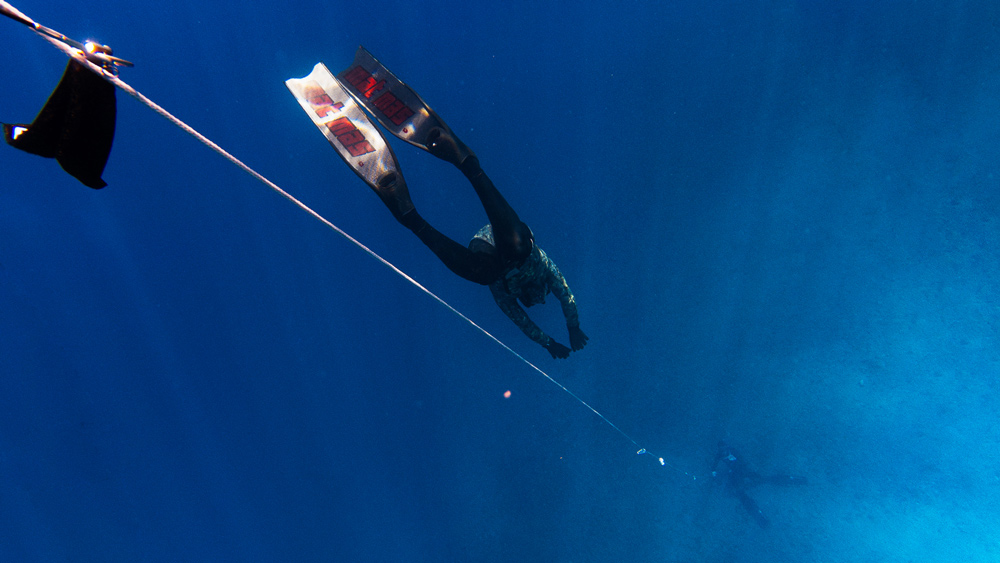 sicurezza immersione apnea kingii