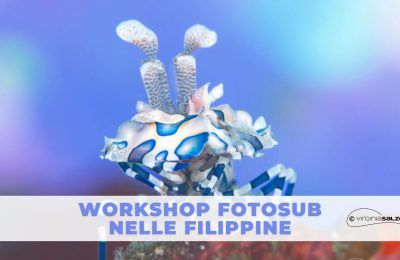 virginia salzedo workshop filippine