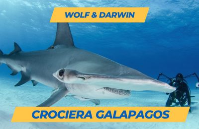 Offerta crociera galapagos martello