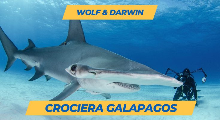 Offerta crociera galapagos martello