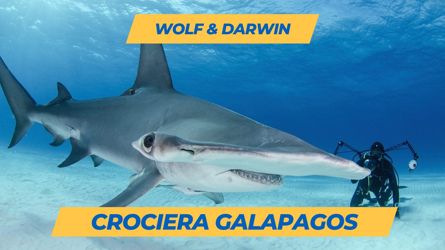 Crociera Galapagos con NosyTour, marzo 2025