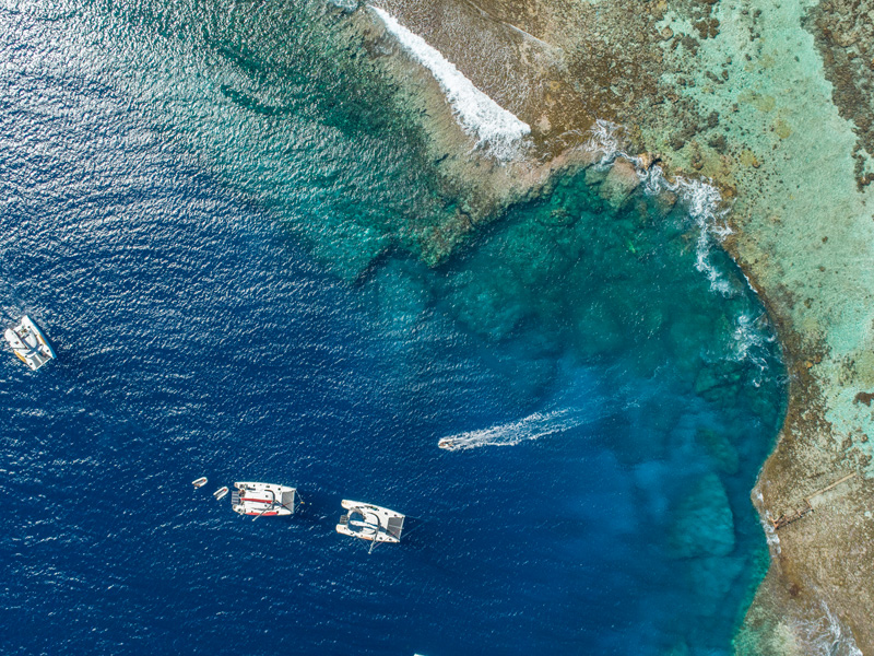 vacanze in catamarano vista dall'alto isole di tahiti