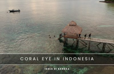 coral eye indonesia nosytour