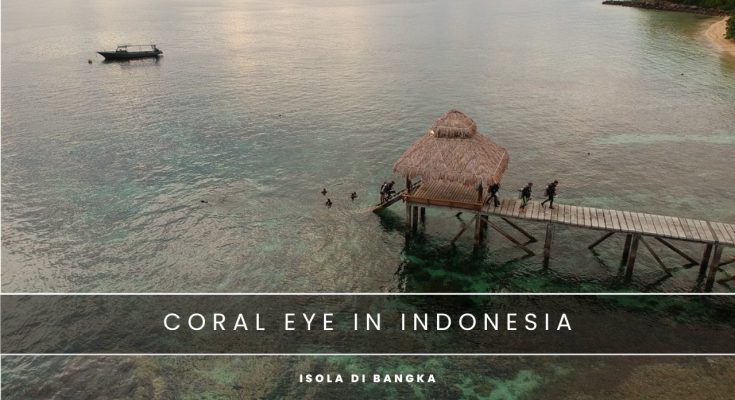 coral eye indonesia nosytour
