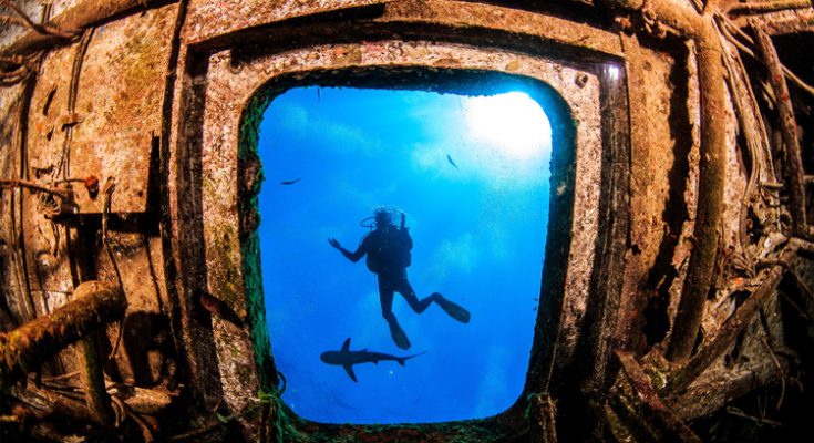 Bahamas-relitto-immersione