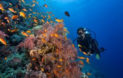 subacquea diving camel hotel
