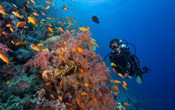 subacquea-diving-camel-hotel