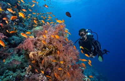 subacquea diving camel hotel