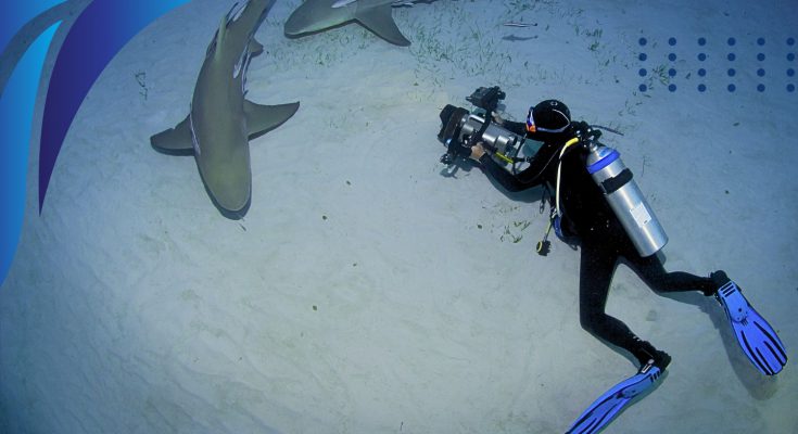 Quiz videografia subacquea