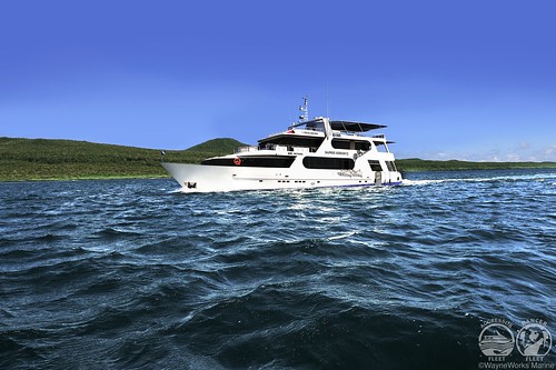aggressor fleet nosytour