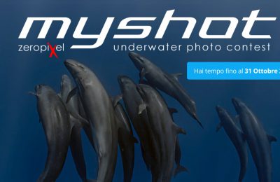 myshot 2024 fotosub concorso fotografia subacquea