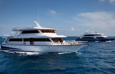 maldive offerte estate crociera sub