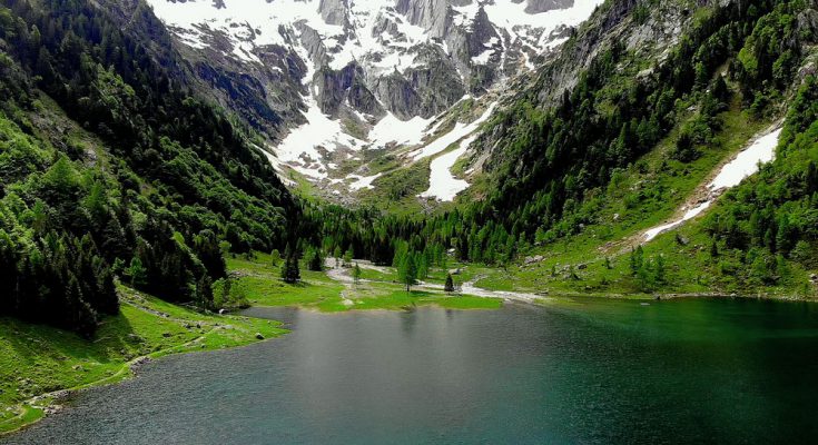 ripopolamento pesci lago svizzera