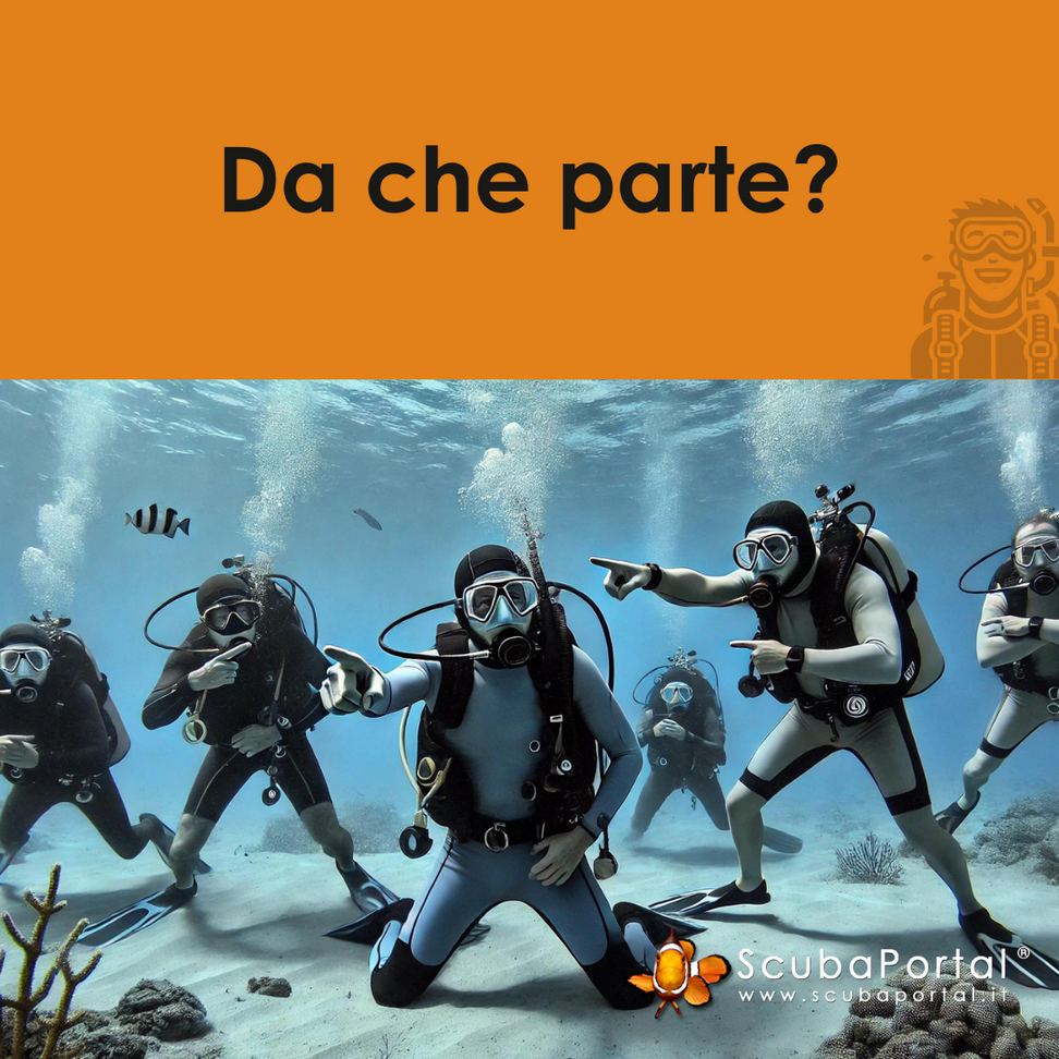 meme subacquei