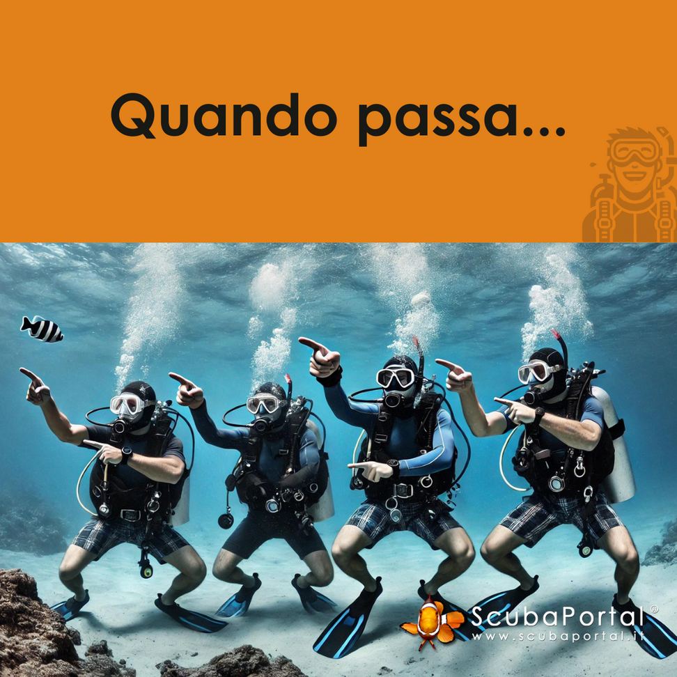 meme subacquei