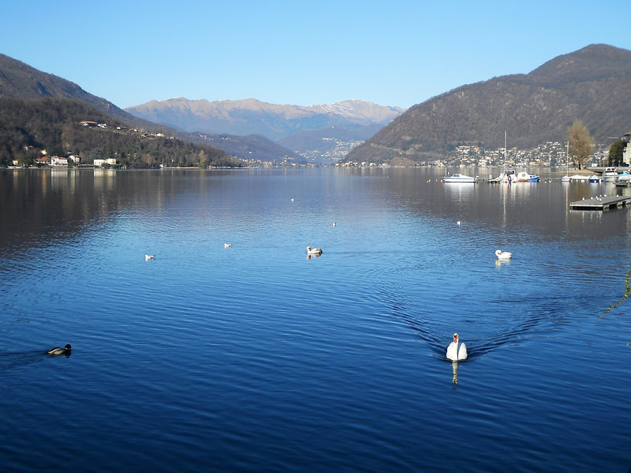 Lago lugano pulizia