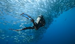 viaggi subacquei click and travel