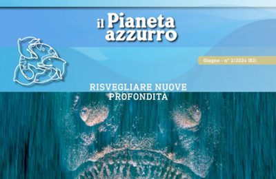 pianeta azzurro profondita 2 2024 foto pesce pietra formis