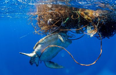 Bycatch e ghost gear seminario risoluzione