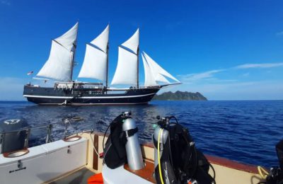 dewi nusantara raja ampat subacquea crociera