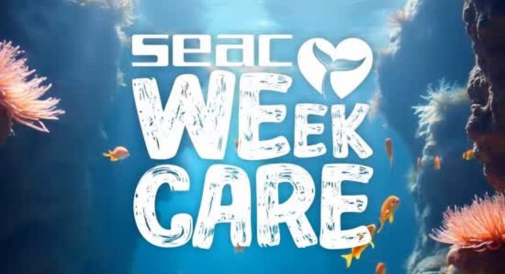seac week care pulizia fondali subacquea