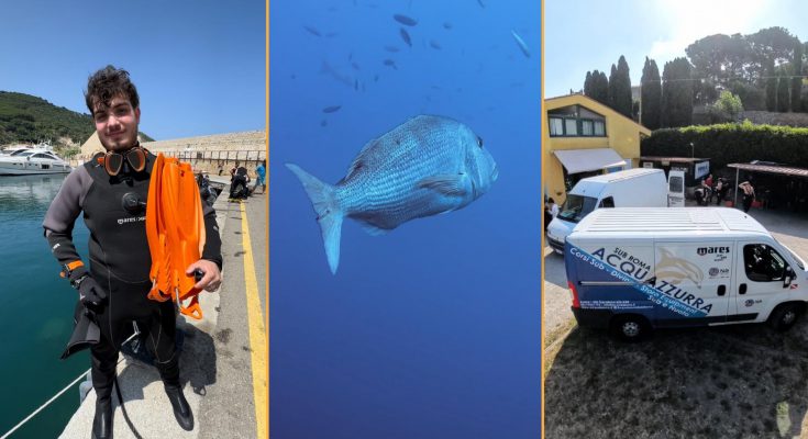 acquazzurra 40 anni mares