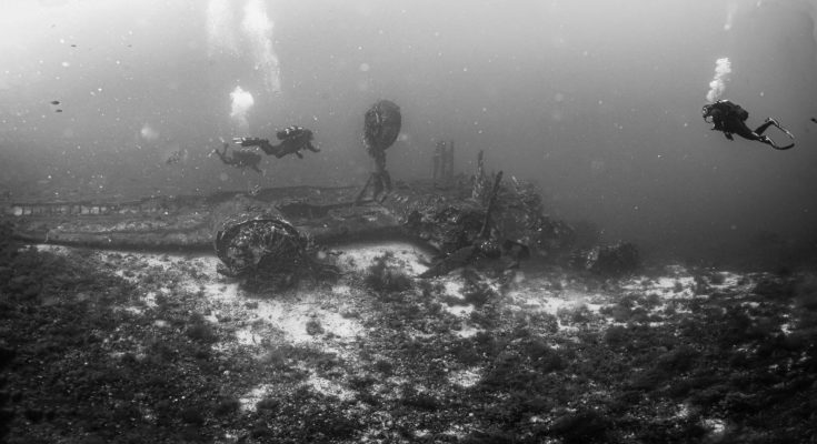Dettaglio a colori del motore radiale di un B-24 Liberator ricoperto di spugne e piccoli pesci sul fondale