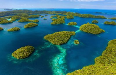 palau offerta sub agosto