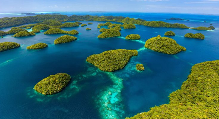 palau offerta sub agosto