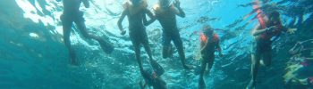 bando premio sealab