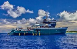 spedizione subacquea aldabra seychelles