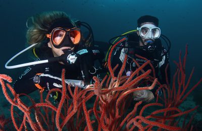 scelta-maschera subacquea mares x force
