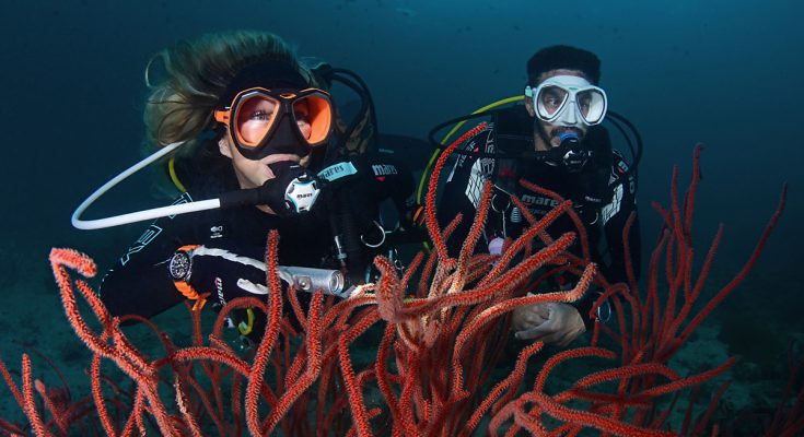 scelta-maschera subacquea mares x force