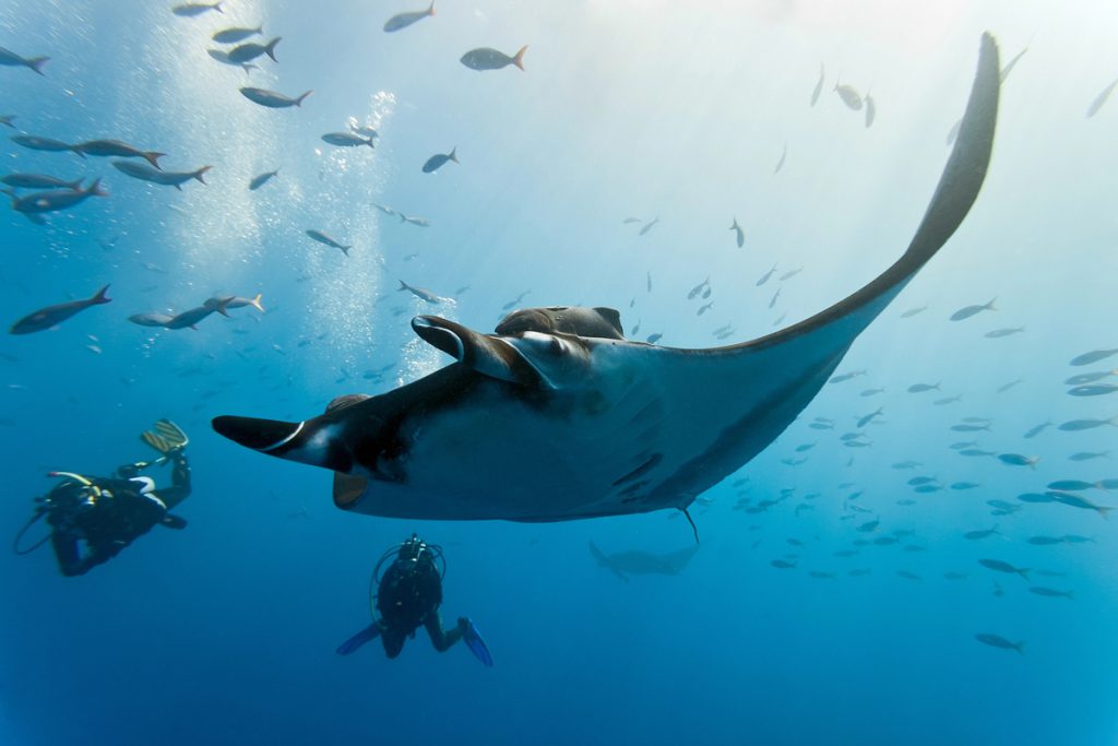 crociera natale maldive