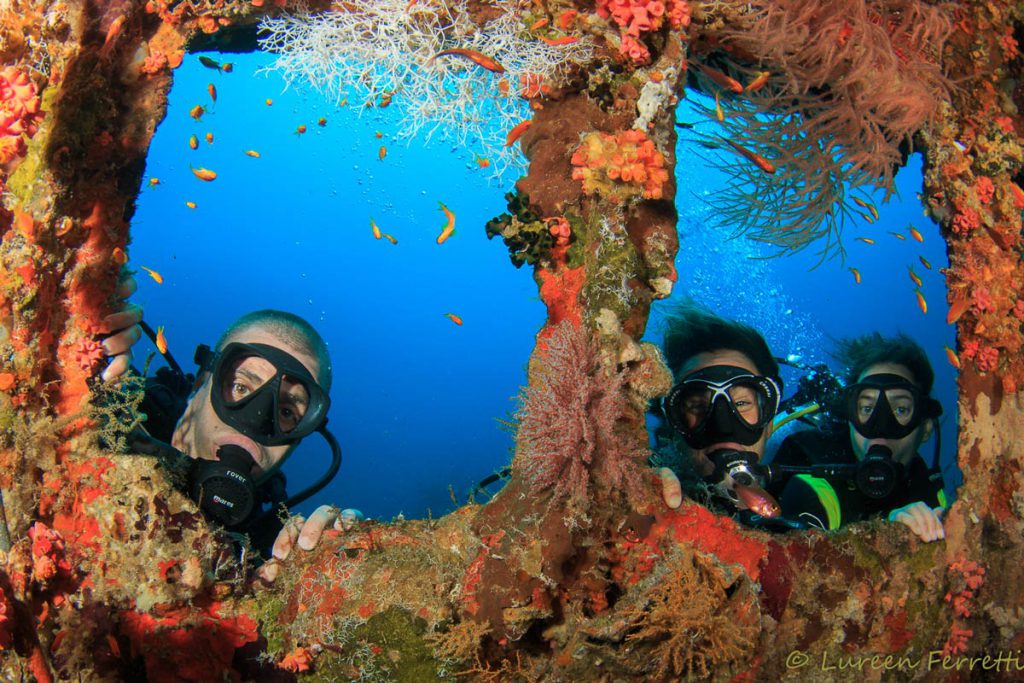 Subacquei osservano dal relitto Kuda Giri ricoperto di coralli e pesci tropicali nelle Maldive