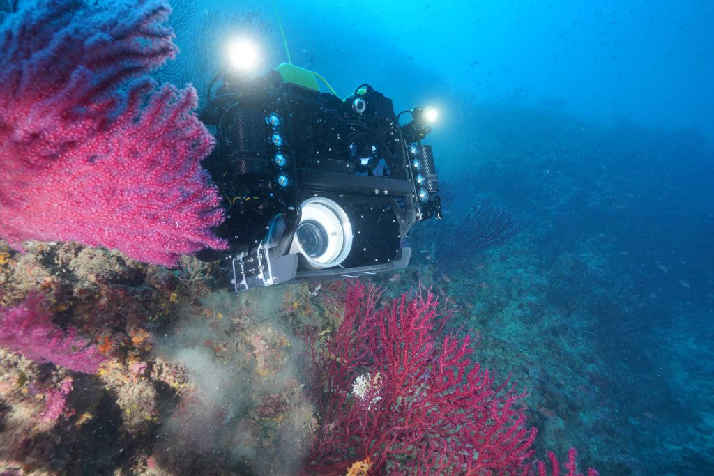 Progetto NEPTUNE - Un veicolo sottomarino a controllo remoto (ROV) illumina e riprende gorgonie e coralli rossi in un fondale roccioso.