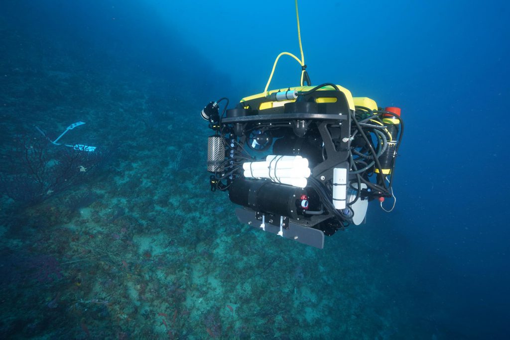 Veicolo sottomarino a controllo remoto (ROV) di colore giallo e nero sospeso nell'acqua vicino a un ripido fondale roccioso - Progetto NEPTUNE